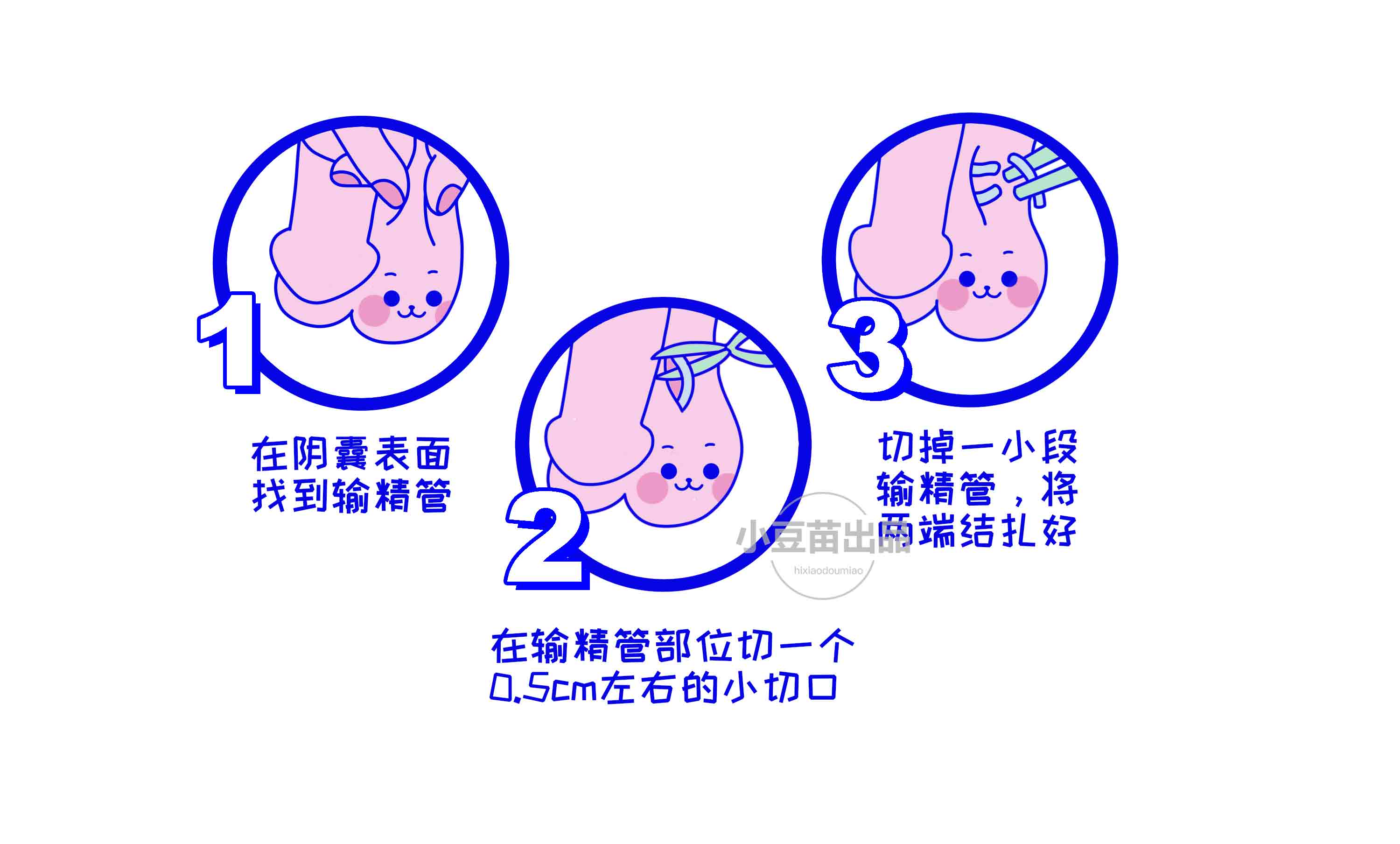 赠卵试管婴儿疗程的全部费用大约是多少？