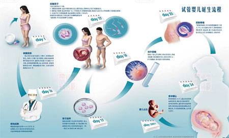 三次借卵试管婴儿移植不成功的原因是什么-为什么三次移植不成功