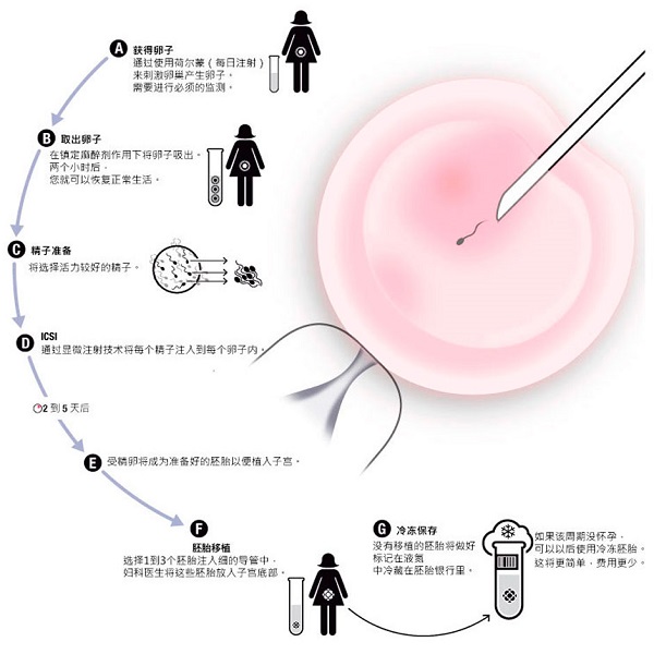 供卵做试管三代自怀费用清单有吗？