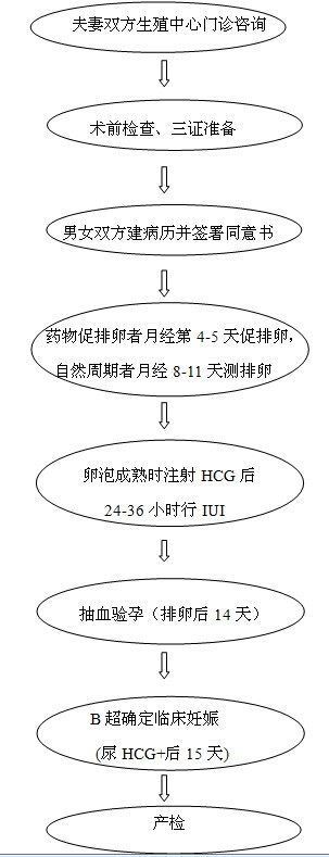 做试管婴儿前调理身体需要几个月