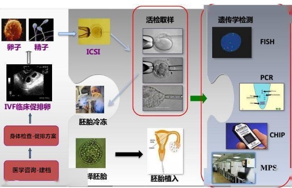 试管代怀花多少费用妈妈是不是要天天打针