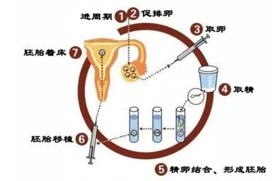 2023江苏南通找个试管代怀的哪个医院助孕技术比较好