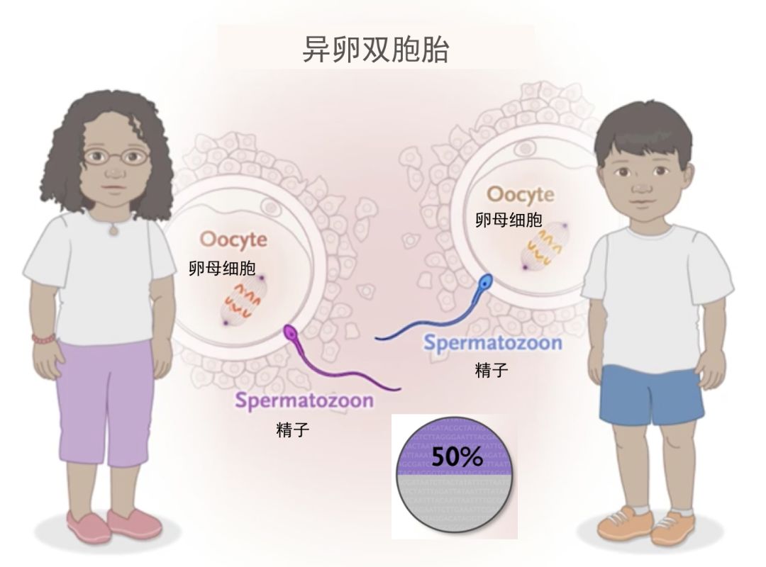 医院做代怀选男孩移植成功流产_滔滔顾问,南通试管代怀机构流程移植成功后流产的原因及预防方法